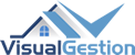 Visual Gestión Logo